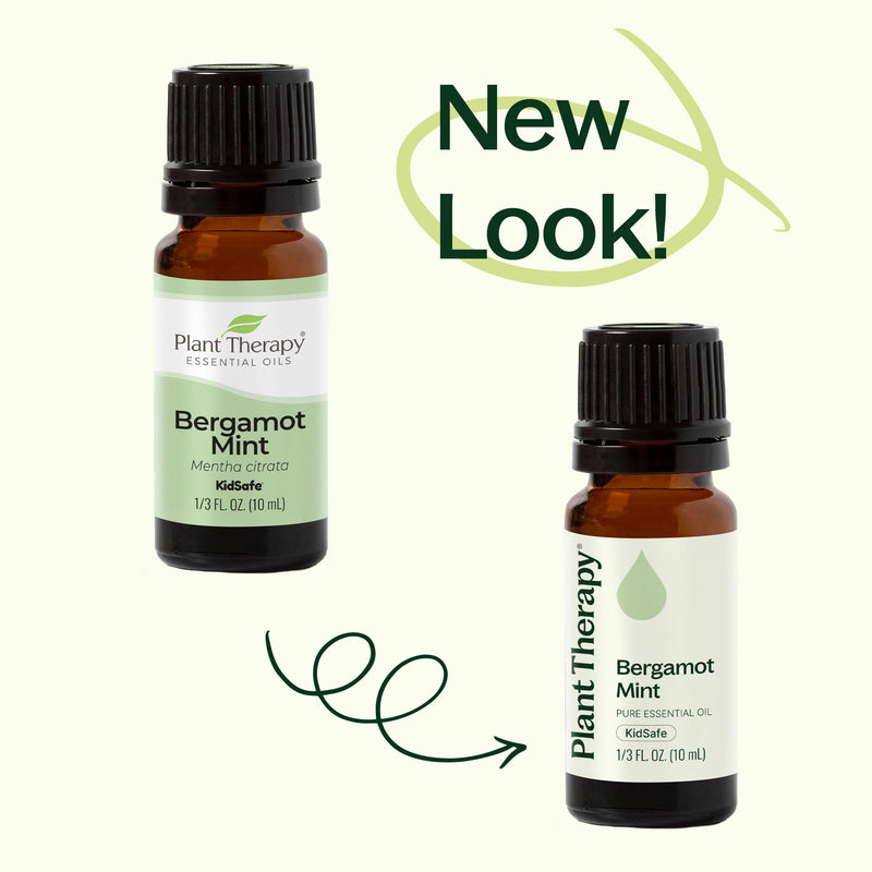 Plant Therapy Bergamot Mint Essential Oil Essential Oil Seashell 10 mL