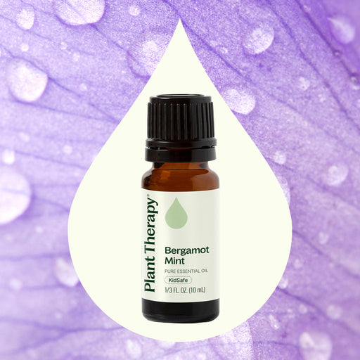 Plant Therapy Bergamot Mint Essential Oil Essential Oil Seashell 10 mL