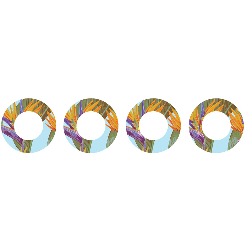 Peelz Birds of Paradise Patch  Tape Designed for the FreeStyle Libre 2 Patch Medical Tape White Smoke 4-Pack Libre,1-Pack Libre