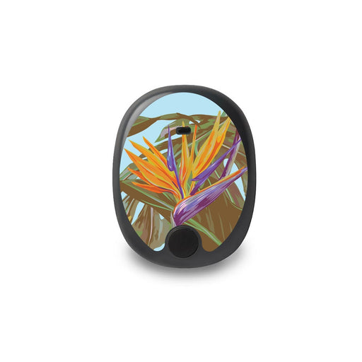 Peelz Birds of Paradise for the Eversense Smart Transmitter Peelz/Stickers White Smoke