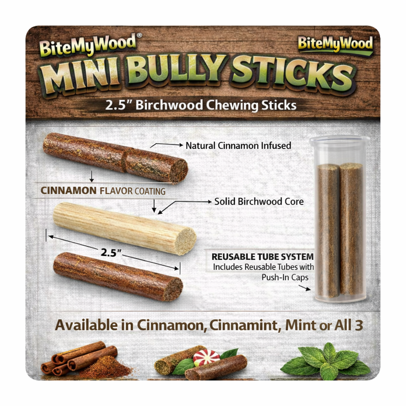 BiteMyWood Bully Stick 2.5" Mini - All Natural Birchwood Flavored Human Chewing Sticks | BiteMyWood Toothpicks Lavender Get All 3 Flavors Mini Pack,Cinnamon Mini Pack,Cinnamint Mini Pack,Mint Mini Pack