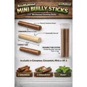 BiteMyWood Bully Stick 2.5" Mini - All Natural Birchwood Flavored Human Chewing Sticks | BiteMyWood Toothpicks Gray Get All 3 Flavors Mini Pack,Cinnamon Mini Pack,Cinnamint Mini Pack,Mint Mini Pack