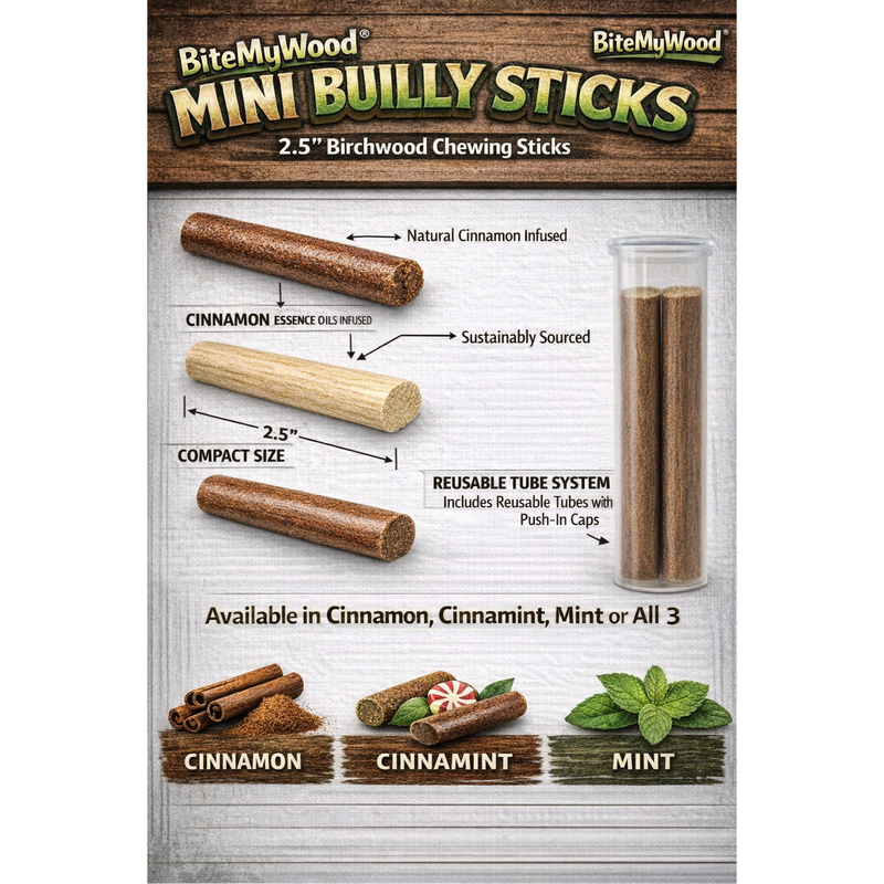 BiteMyWood Bully Stick 2.5" Mini - All Natural Birchwood Flavored Human Chewing Sticks | BiteMyWood Toothpicks Gray Get All 3 Flavors Mini Pack,Cinnamon Mini Pack,Cinnamint Mini Pack,Mint Mini Pack