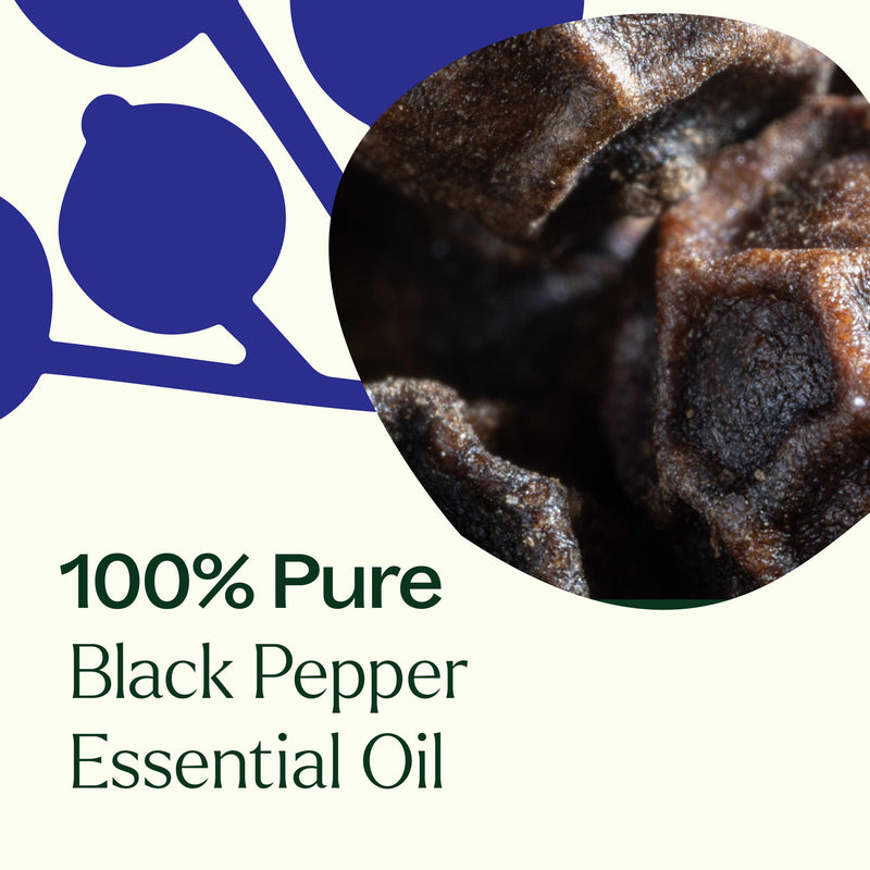 Plant Therapy Black Pepper Essential Oil Essential Oil Seashell 10 mL
