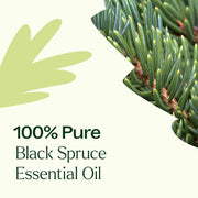 Plant Therapy Black Spruce Essential Oil Essential Oil Seashell 10 mL,30 mL