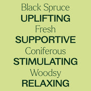 Plant Therapy Black Spruce Essential Oil Essential Oil Khaki 10 mL,30 mL