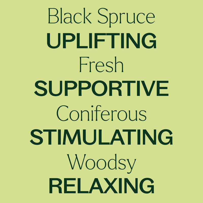 Plant Therapy Black Spruce Essential Oil Essential Oil Khaki 10 mL,30 mL