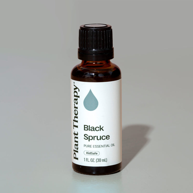 Plant Therapy Black Spruce Essential Oil Essential Oil Dark Gray 10 mL,30 mL