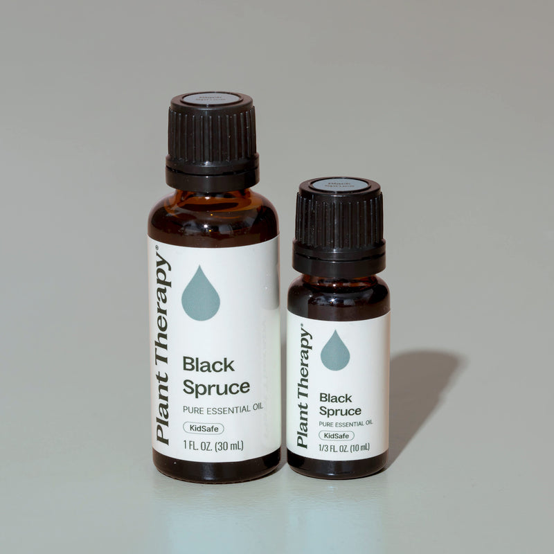 Plant Therapy Black Spruce Essential Oil Essential Oil Dark Gray 10 mL,30 mL