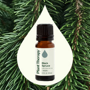 Plant Therapy Black Spruce Essential Oil Essential Oil Seashell 10 mL,30 mL