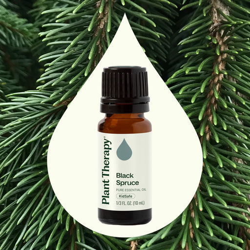 Plant Therapy Black Spruce Essential Oil Essential Oil Seashell 10 mL,30 mL