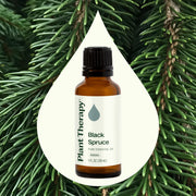 Plant Therapy Black Spruce Essential Oil Essential Oil Seashell 10 mL,30 mL