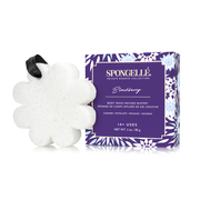 Spongellé Blackberry | Boxed Flower Body Wash Infused Buffer Lavender
