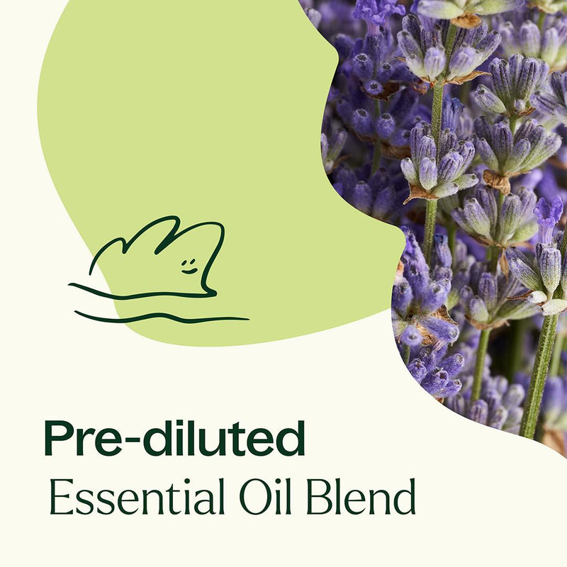 Plant Therapy Blissful Dreams Essential Oil Pre-Diluted Roll-On Essential Oil Khaki 10 mL