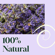 Plant Therapy Blissful Dreams Lavender Pillow Spray Household Lavender 8 oz