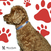 Warren London Fabric Dog Collar - Blue Leashes, Collars & Accessories White Smoke Small (10"-14"),Medium (13"-19"),Large (16"-26")