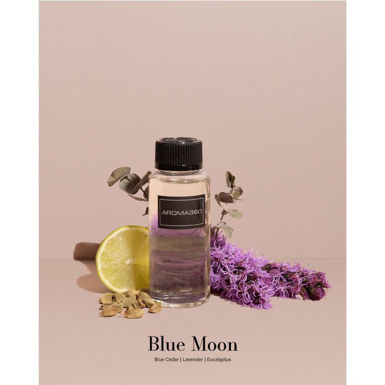 Aroma360 Aromatherapy Discovery Set Discovery Set Gray