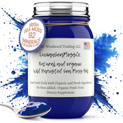 MG Windward Trading LLC Blue Spirulina Infused Organic Sea Moss Gel Herbal Gel Midnight Blue 8 oz.,16 oz.,32 oz.