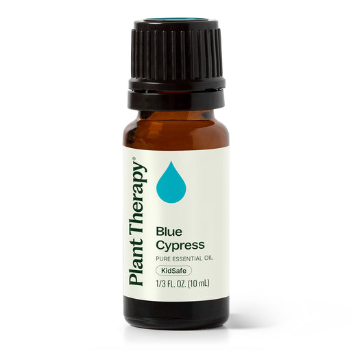 Plant Therapy Blue Cypress Essential Oil Essential Oil White Smoke 10 mL