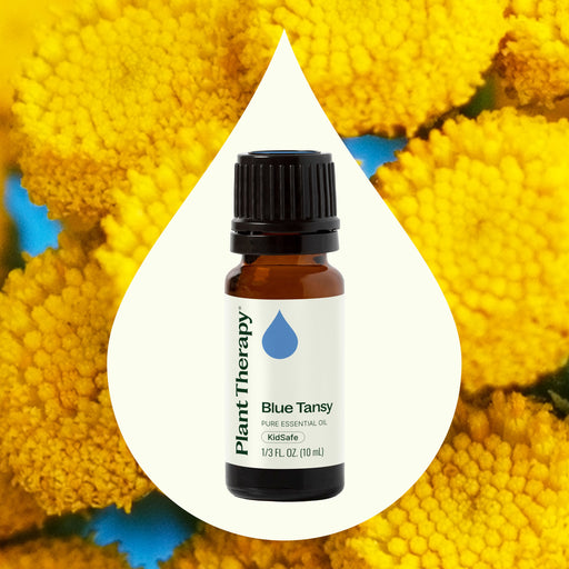 Plant Therapy Blue Tansy Essential Oil Essential Oil Seashell 2.5 mL,5 mL,10 mL