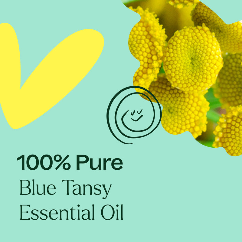 Plant Therapy Blue Tansy Essential Oil Essential Oil Powder Blue 2.5 mL,5 mL,10 mL