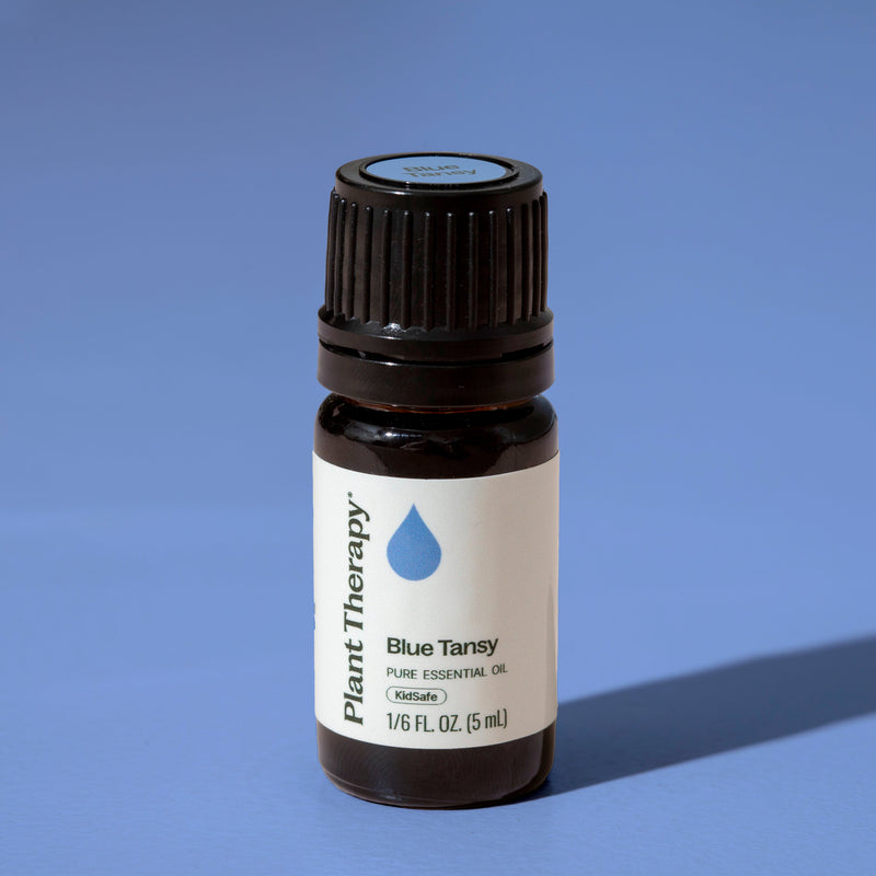 Plant Therapy Blue Tansy Essential Oil Essential Oil Light Slate Gray 2.5 mL,5 mL,10 mL