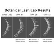 Contours Rx Botanical Lash & Brow Serum Lash & Brow Growth Serum Dark Slate Gray 1 Pack / none,2 Packs / none,3 Packs / none