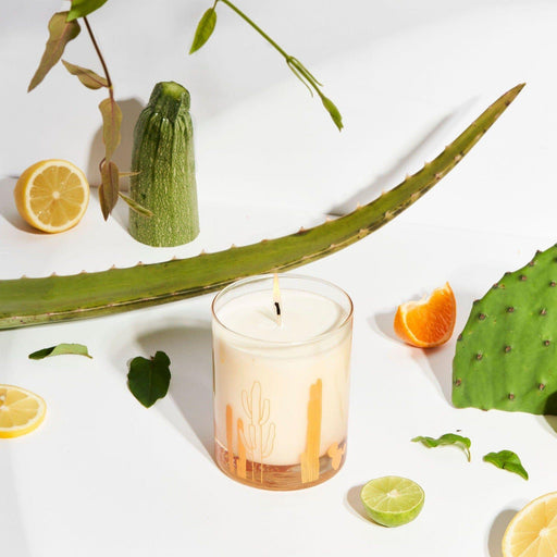 Wax Buffalo Cactus Beige 12oz Pure Soy Candle
