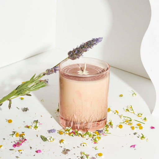 Wax Buffalo Santal Candles Antique White 12oz Pure Soy Candle