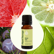 Plant Therapy Brain Aid Essential Oil Blend Essential Oil Seashell 10 mL,30 mL