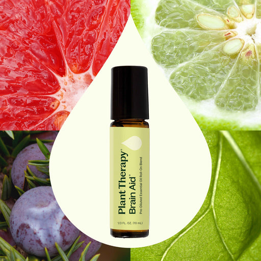 Plant Therapy Brain Aid Essential Oil Blend Pre-Diluted Roll-On Essential Oil Seashell 10 mL