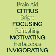 Plant Therapy Brain Aid Essential Oil Blend Essential Oil Khaki 10 mL,30 mL