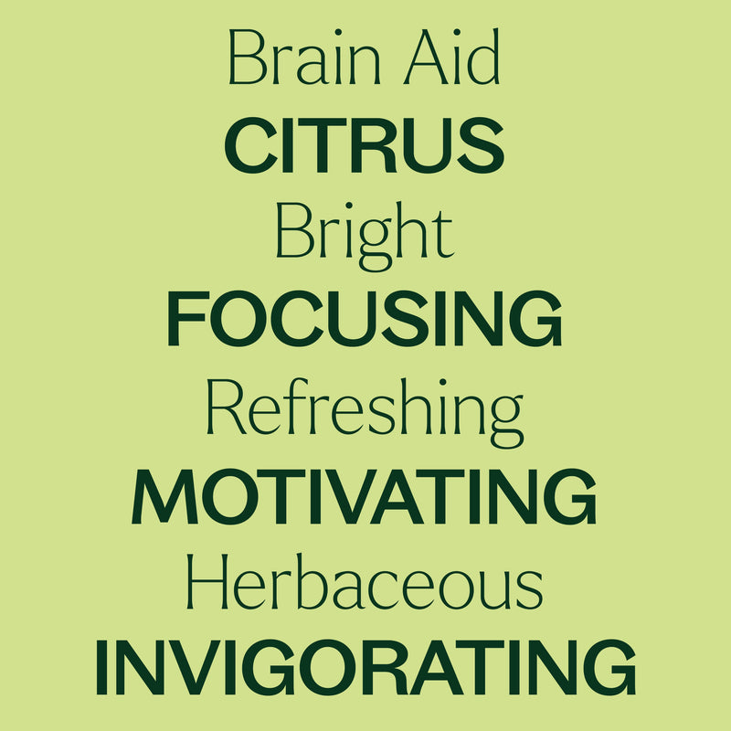 Plant Therapy Brain Aid Essential Oil Blend Essential Oil Khaki 10 mL,30 mL