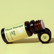 Plant Therapy Brain Aid Essential Oil Blend Essential Oil Khaki 10 mL,30 mL