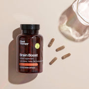 Plant Therapy Brain Boost Herbal Supplement - 120 Capsules Supplement Light Gray 120 ct
