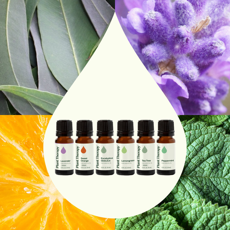 Plant Therapy Breathe Easy Set Essential Oil Seashell
