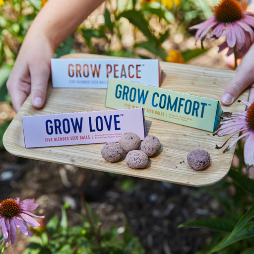 Modern Sprout Bright Side Seed Balls Playful Planting Dark Gray Grow Peace,Grow Comfort,Grow Love