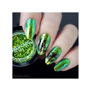 UberChic Beauty Butterflies Stamping Plate Dark Slate Gray