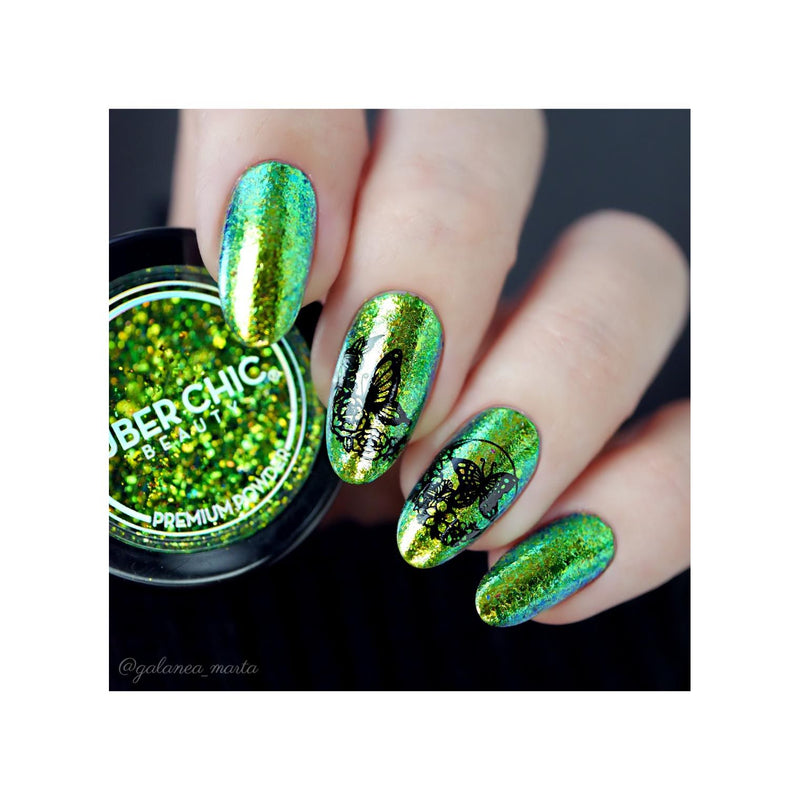 UberChic Beauty Butterflies Stamping Plate Dark Slate Gray