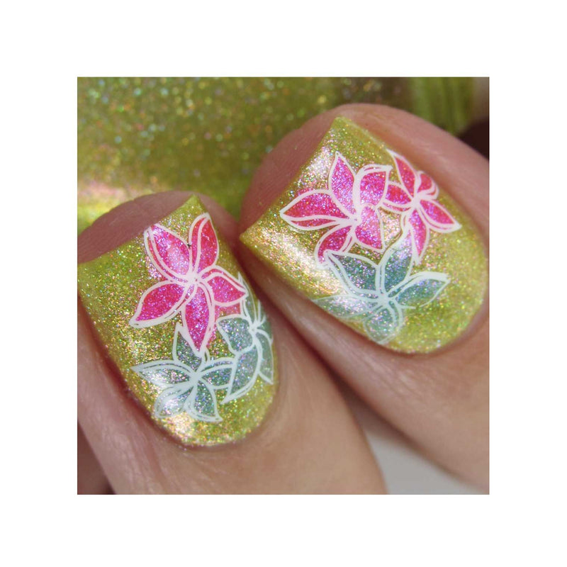 UberChic Beauty Secret Garden-02 Stamping Plate Dim Gray