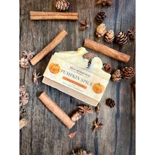MION Artisan Soap Co. Pumpkin Spice | Aloe Butter Soap Dim Gray