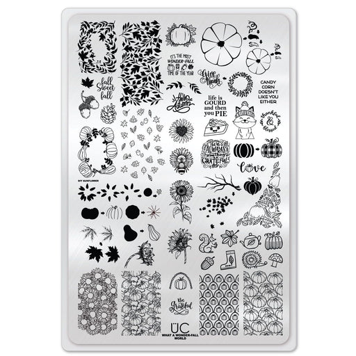 UberChic Beauty What A Wonder-Fall World Stamping Plate Light Gray