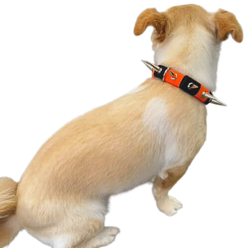 CoyoteVest CoyoteCollar Collar White Smoke Small / Black,Small / Red,Small / Pink,Small / Blue,Small / Brown,Small / Orange,Small / Multicolor,Small / Halloween,Medium / Black,Medium / Red,Medium / Pink,Medium / Blue,Medium / Brown,Medium / Orange,Medium / Multicolor,Large / Black,Large / Red,Larg