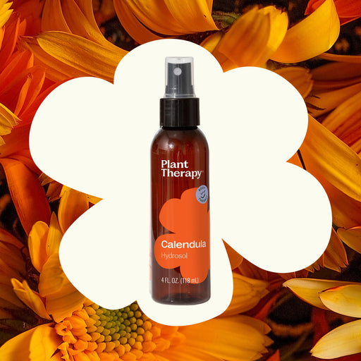 Plant Therapy Calendula Hydrosol Body Care Chocolate 4 oz