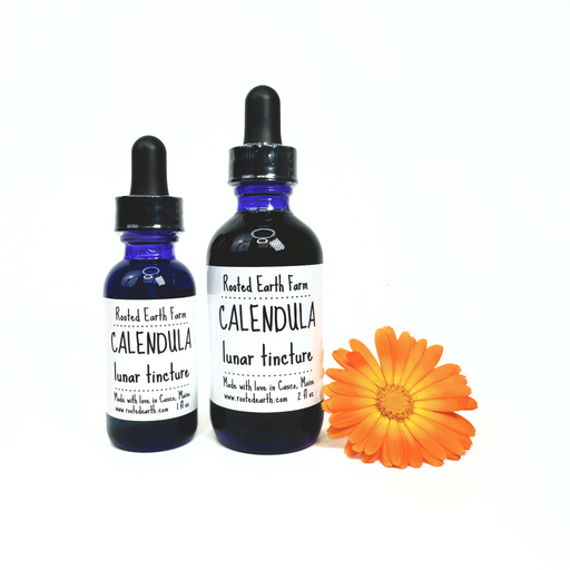 Rooted Earth Farm + Apothecary Calendula Tincture Tinctures + Capsules White Smoke 1 oz,2 oz