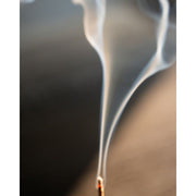 Juniper Ridge Sweetgrass Campfire Incense (20 Sticks) 3-Pack Incense Black