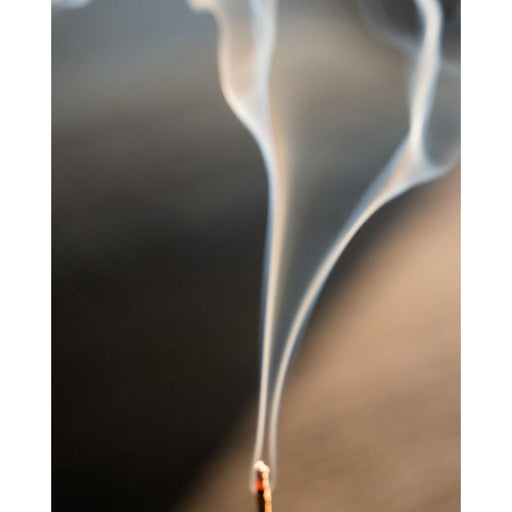 Juniper Ridge Sweetgrass Campfire Incense (20 Sticks) 3-Pack Incense Black