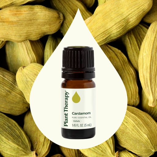 Plant Therapy Cardamom Essential Oil Essential Oil Seashell 5 mL,10 mL