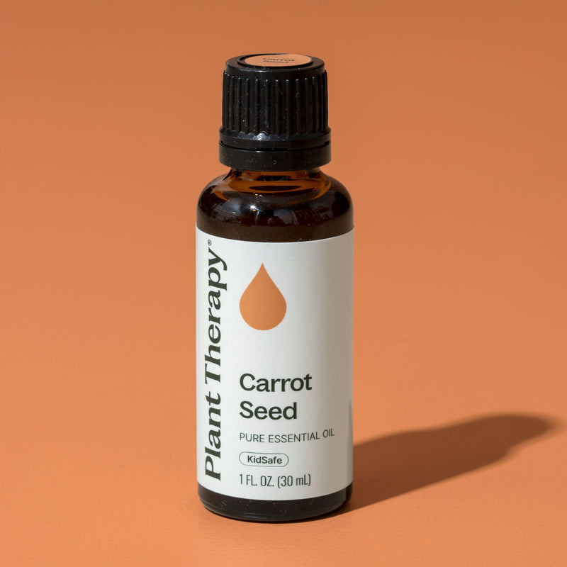 Plant Therapy Carrot Seed Essential Oil Essential Oil Sandy Brown 10 mL,30 mL