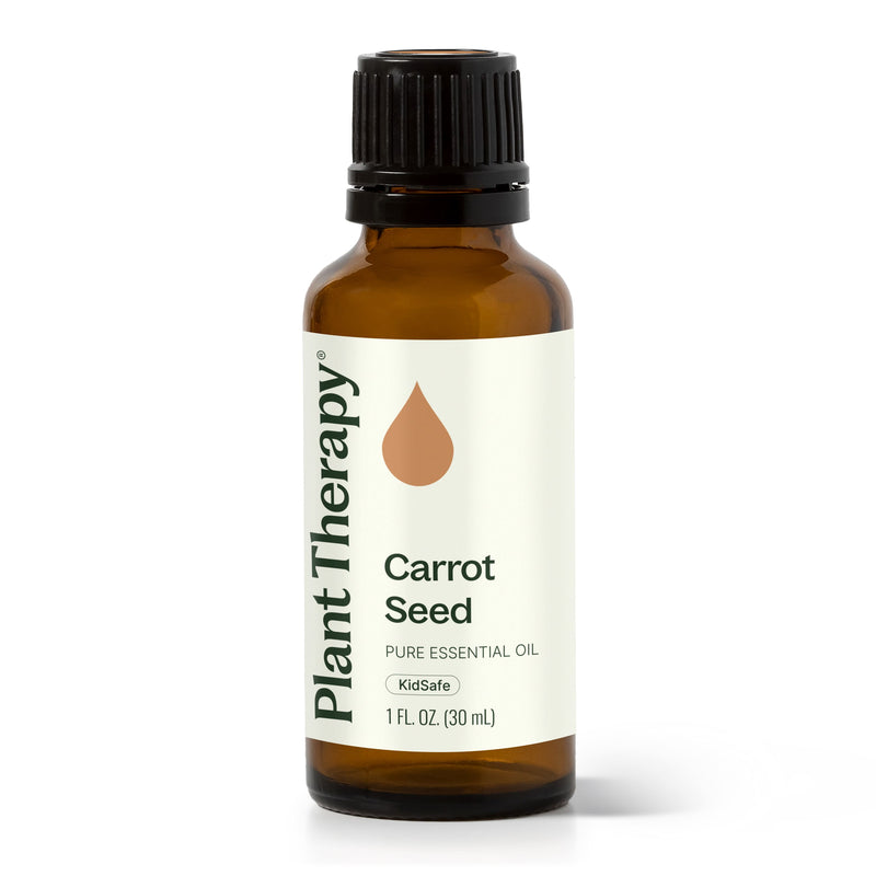Plant Therapy Carrot Seed Essential Oil Essential Oil White Smoke 30 mL
